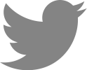 Twitter logo in gray