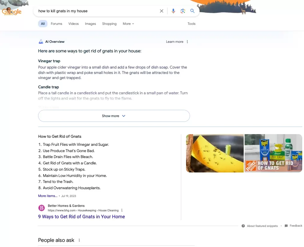 Google AI Overviews Example