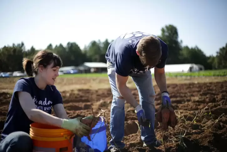 Two team members volunteering at Shalom Farms