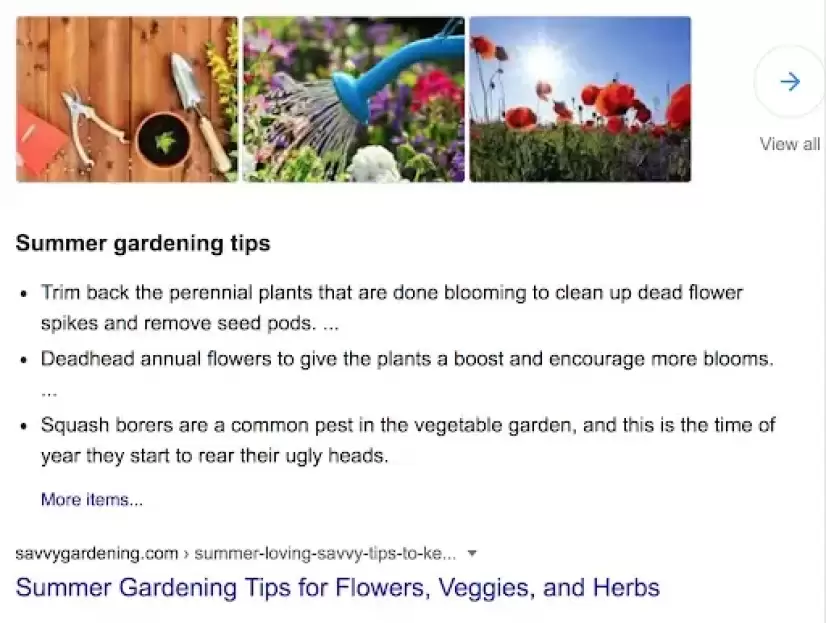 Screenshot of the SERPs, showcasing a step-by-step guide piece of content