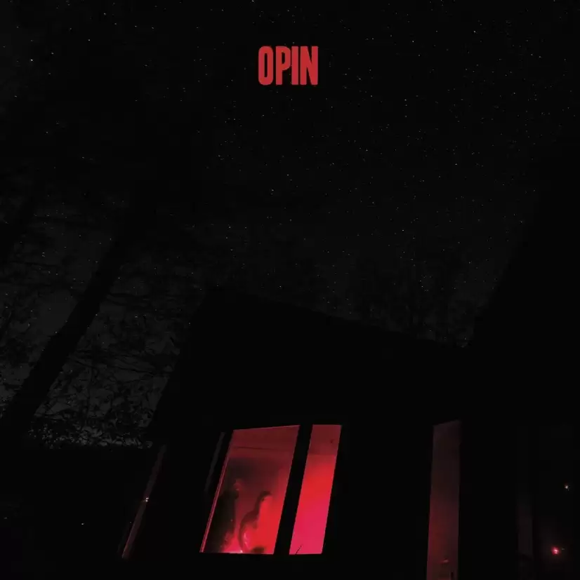 Opin - S/T (Samuel Dixon & Julia Brouard, 2017)