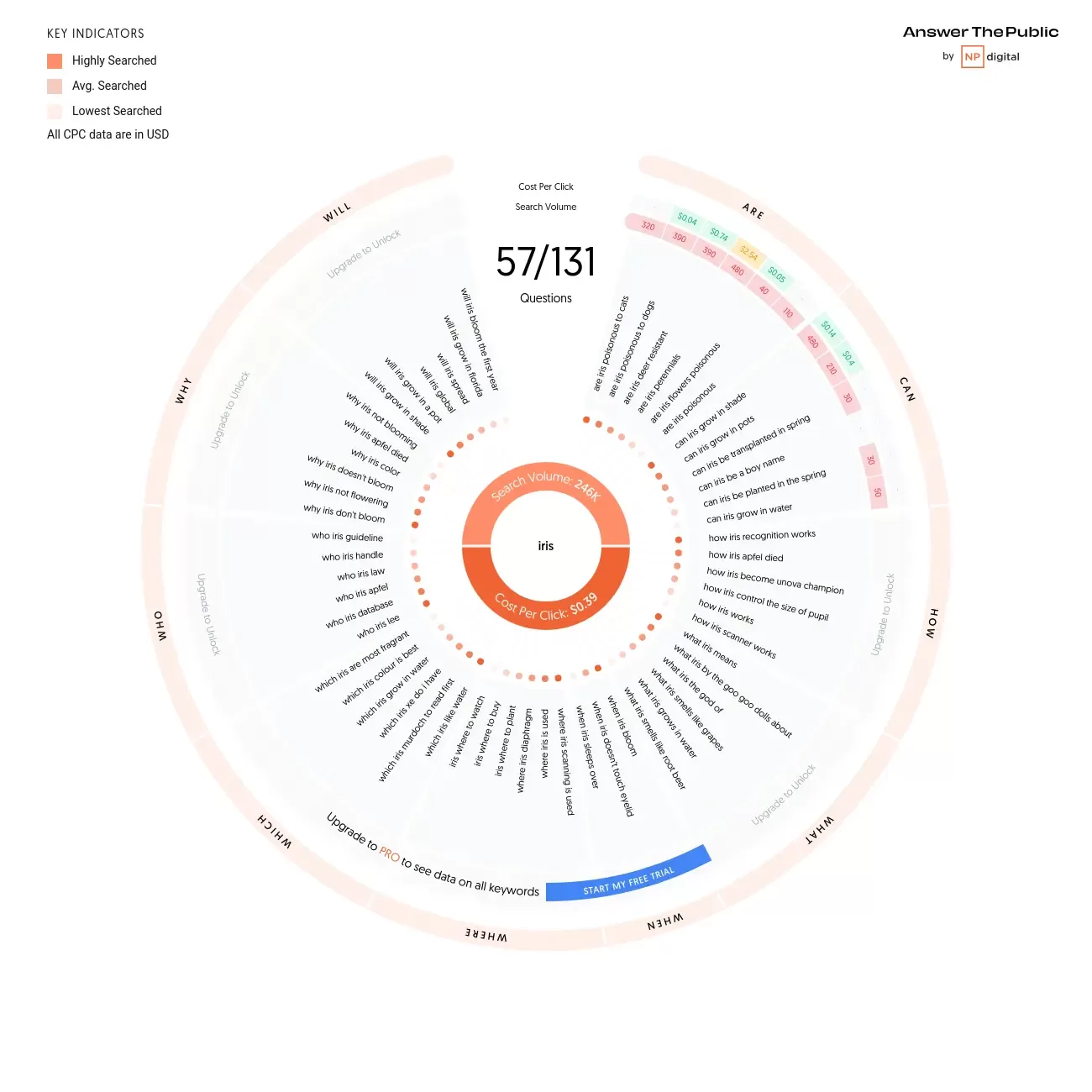 Screenshot of an AnswerThePublic keyword wheel.
