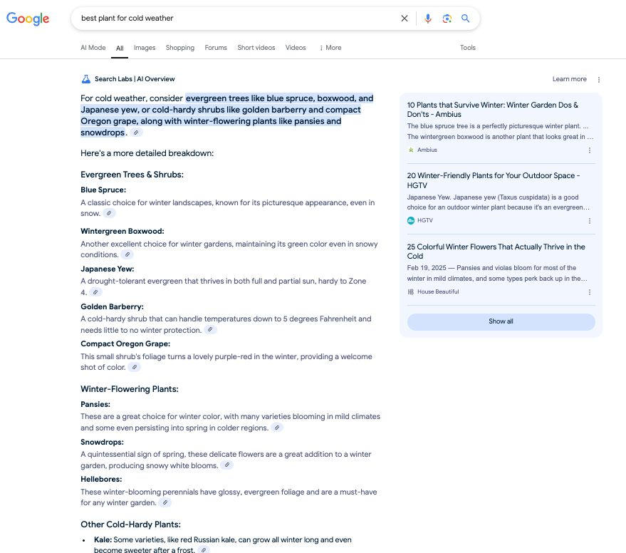 A screenshot of Google's SERP feature: AI Overviews.