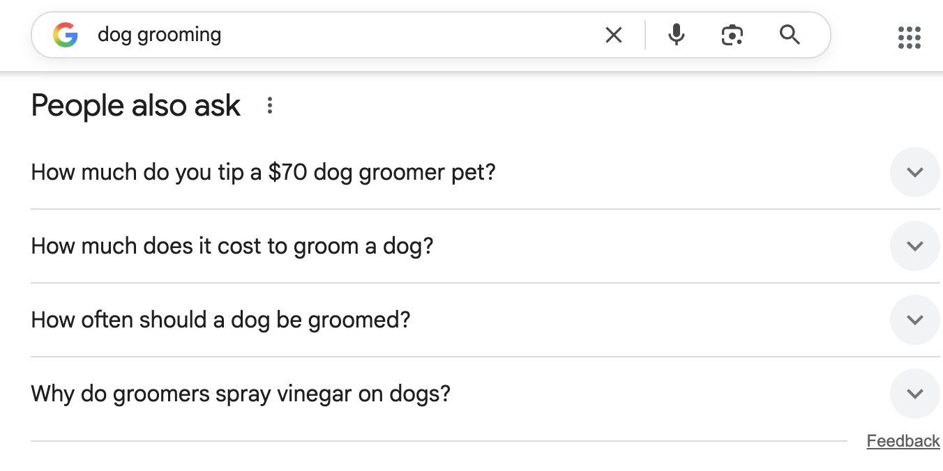 Dog grooming Google search with people also ask questions about price and care.